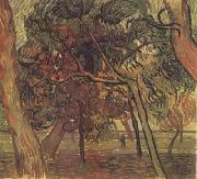 Vincent Van Gogh Study of Pine Trees (nn04) France oil painting artist